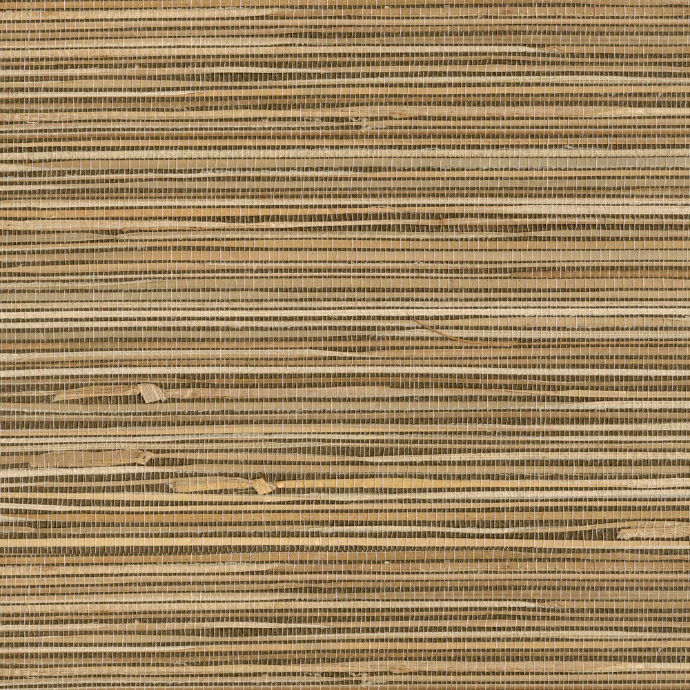 Seiju Wheat Grasscloth Wallpaper by Advantage Grasscloth Portfolio Covers about 72 square feet 36-in by 24-ft long roll Unpasted 0 - Fabric Carolina -