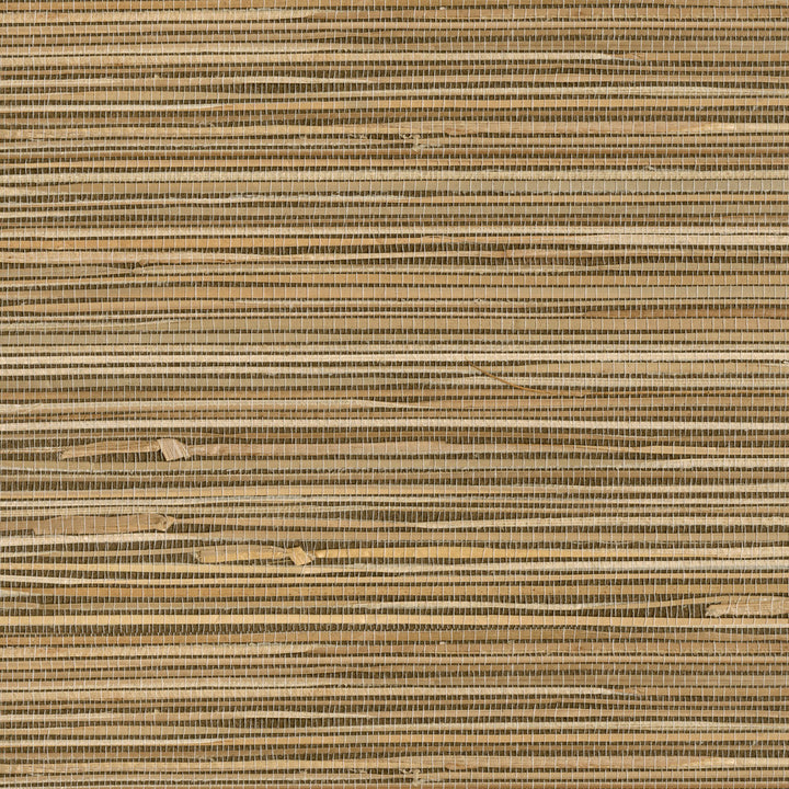 Seiju Wheat Grasscloth Wallpaper by Advantage Grasscloth Portfolio Covers about 72 square feet 36-in by 24-ft long roll Unpasted 0 - Fabric Carolina -