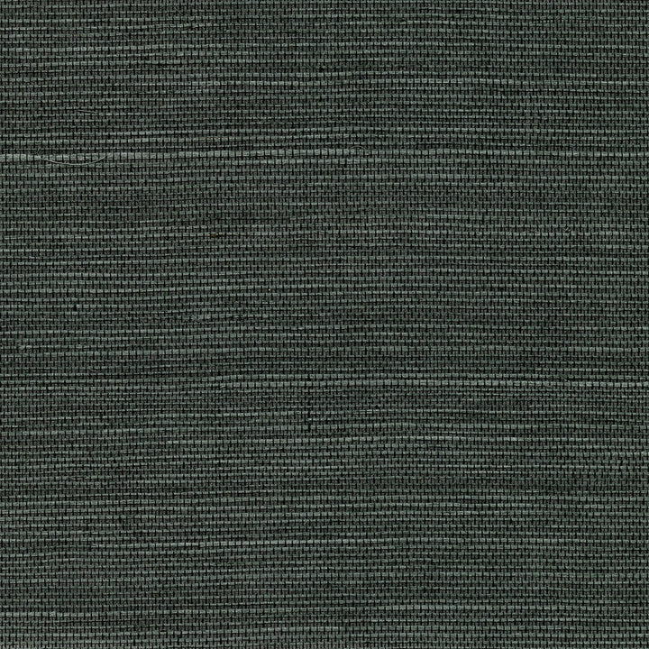 Kowloon Charcoal Sisal Grasscloth Wallpaper by Advantage Grasscloth Portfolio Covers about 72 square feet 36-in by 24-ft long roll Unpasted 0 - Fabric Carolina -