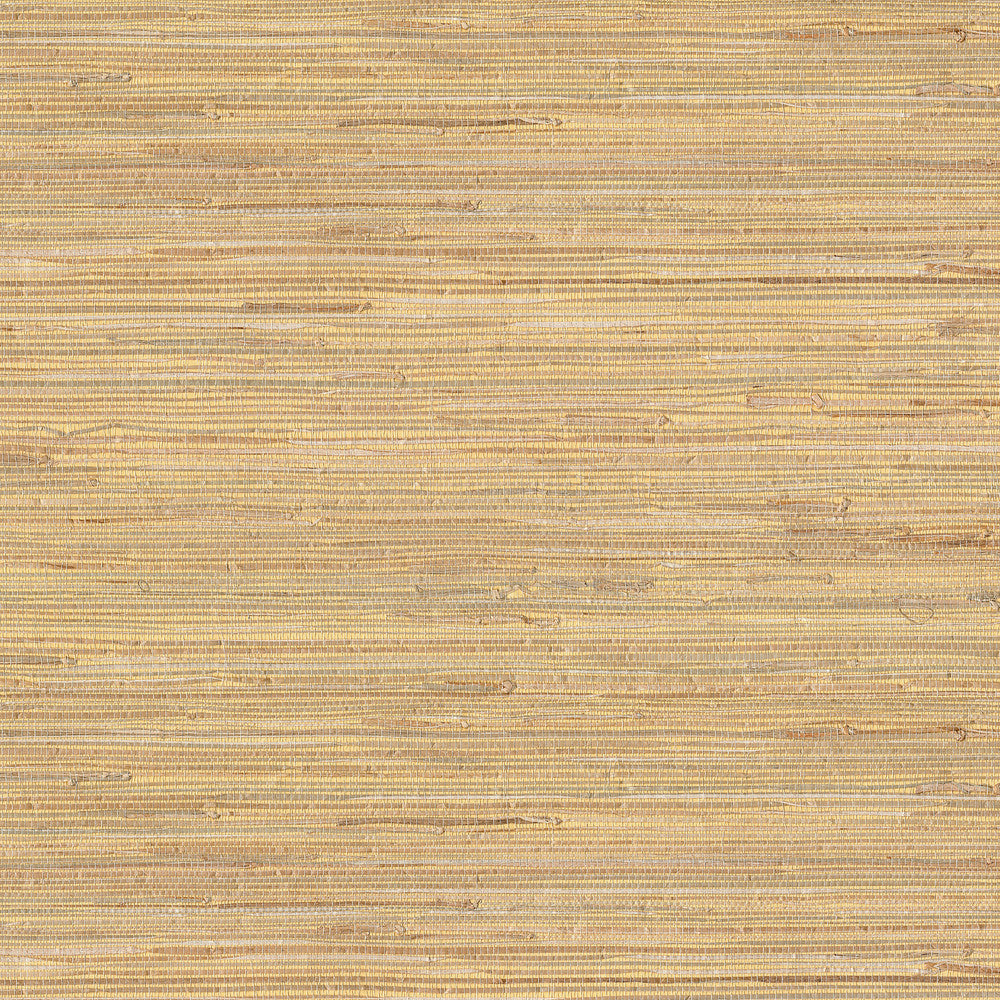 Daria Beige Grasscloth Wallpaper by Advantage Grasscloth Portfolio Covers about 72 square feet 36-in by 24-ft long roll Unpasted 0 - Fabric Carolina -