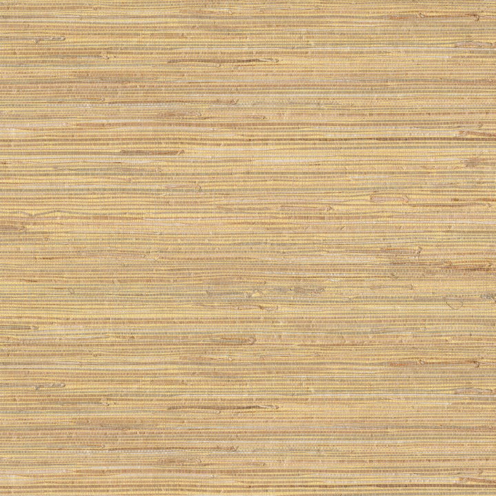 Daria Beige Grasscloth Wallpaper by Advantage Grasscloth Portfolio Covers about 72 square feet 36-in by 24-ft long roll Unpasted 0 - Fabric Carolina -