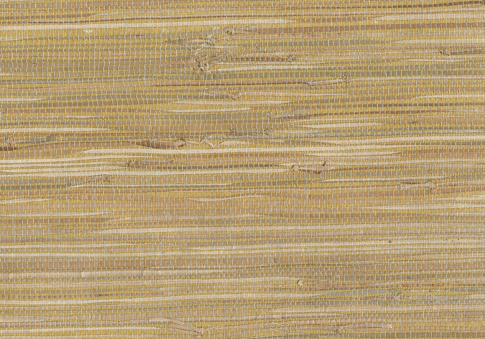 Dhyana Olive Grasscloth Wallpaper by Advantage Grasscloth Portfolio Covers about 72 square feet 36-in by 24-ft long roll Unpasted 0 - Fabric Carolina -