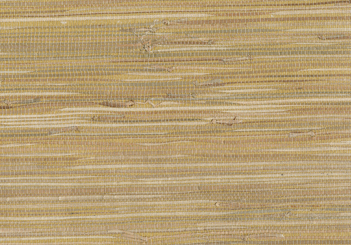 Dhyana Olive Grasscloth Wallpaper by Advantage Grasscloth Portfolio Covers about 72 square feet 36-in by 24-ft long roll Unpasted 0 - Fabric Carolina -