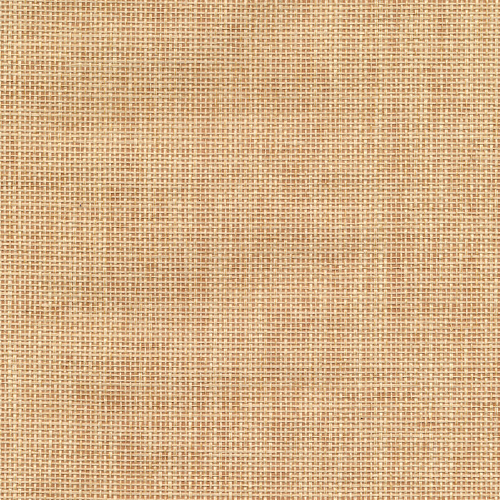 Pavel Sand Grasscloth Wallpaper by Advantage Grasscloth Portfolio Covers about 72 square feet 36-in by 24-ft long roll Unpasted 0 - Fabric Carolina -