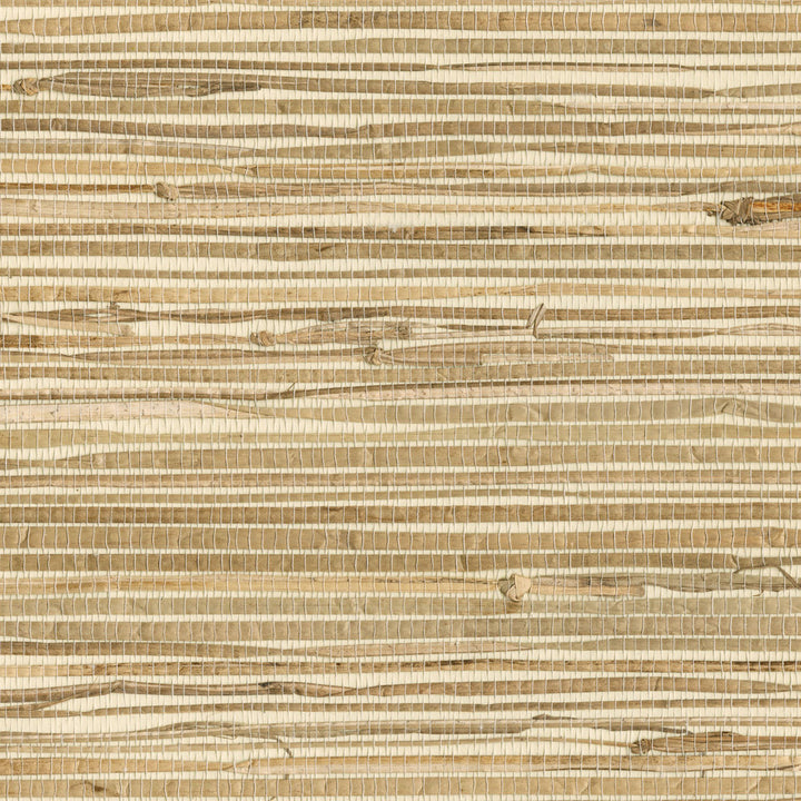 Kyodo Neutral Grasscloth Wallpaper by Advantage Grasscloth Portfolio Covers about 72 square feet 36-in by 24-ft long roll Unpasted 0 - Fabric Carolina -