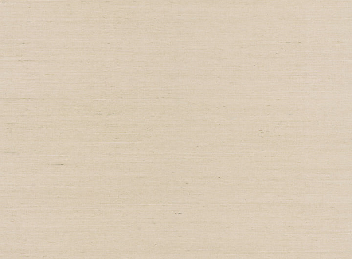 Rhona Peach Solid Grasscloth Wallpaper by Advantage Grasscloth Portfolio Covers about 72 square feet 36-in by 24-ft long roll Unpasted 0 - Fabric Carolina -
