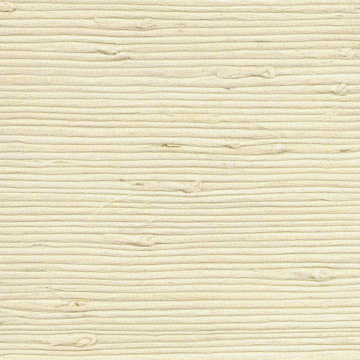 Battan Cream Grasscloth Wallpaper by Advantage Grasscloth Portfolio Covers about 72 square feet 36-in by 24-ft long roll Unpasted 0 - Fabric Carolina -