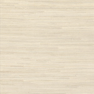Kostya Cream Grasscloth Wallpaper by Advantage