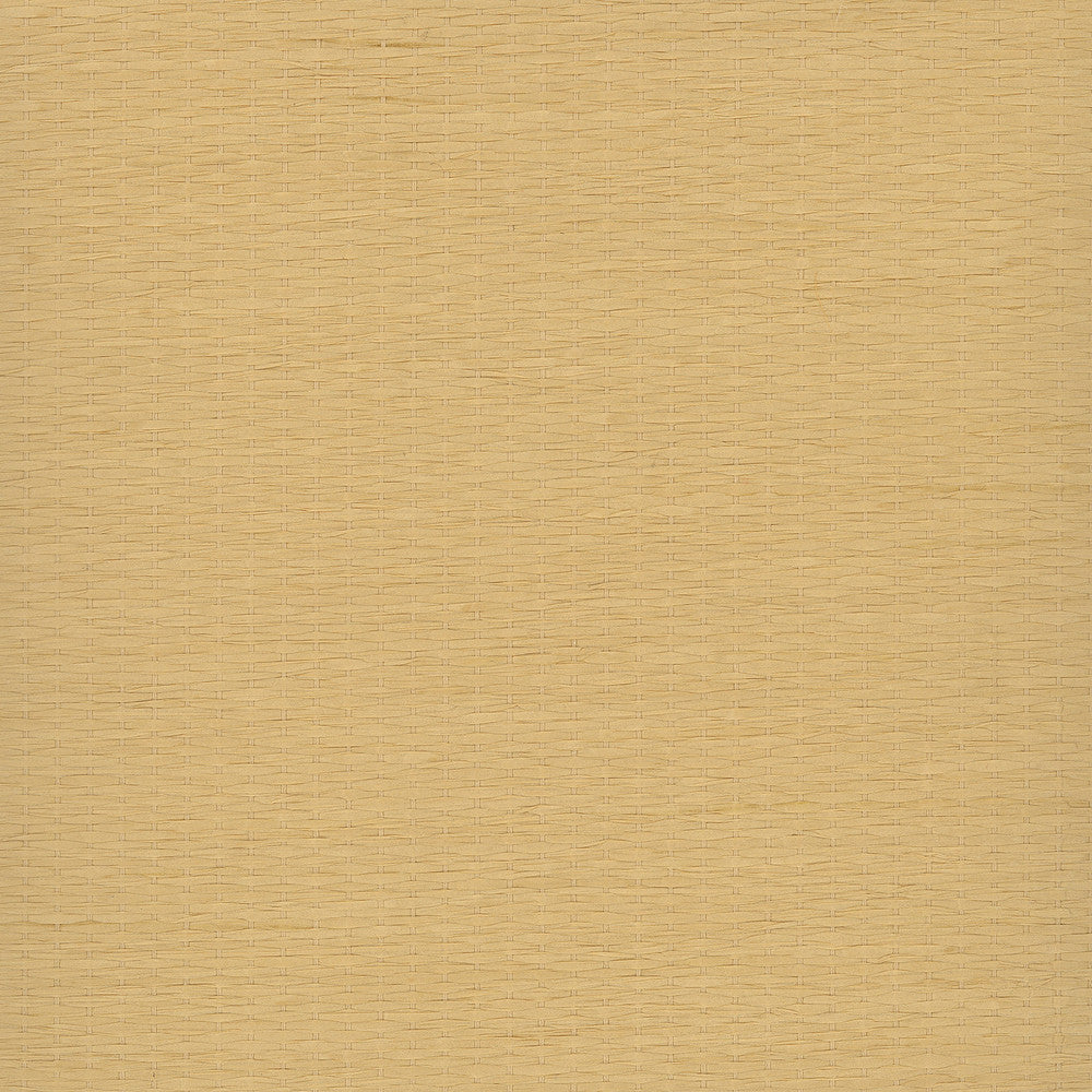 Qing Yuan Beige Grasscloth Wallpaper by Advantage Grasscloth Portfolio Covers about 72 square feet 36-in by 24-ft long roll Unpasted 0 - Fabric Carolina -