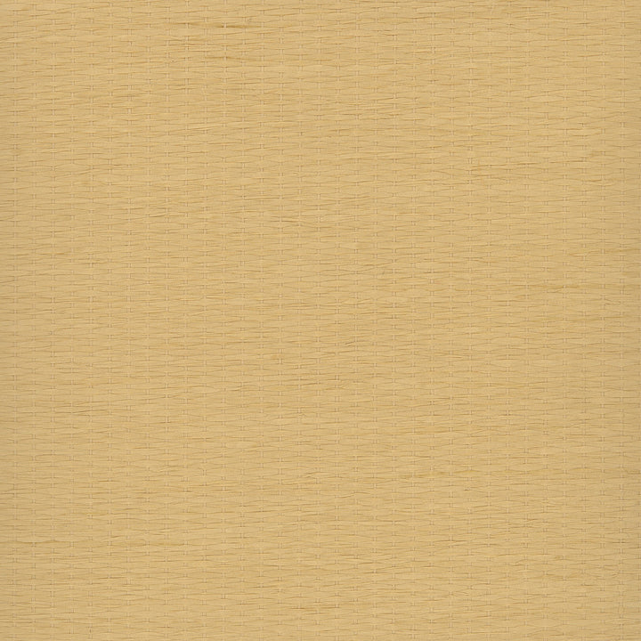 Qing Yuan Beige Grasscloth Wallpaper by Advantage Grasscloth Portfolio Covers about 72 square feet 36-in by 24-ft long roll Unpasted 0 - Fabric Carolina -