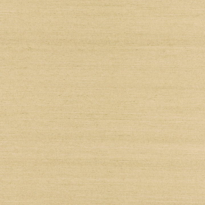 Rhona Cream Solid Grasscloth Wallpaper by Advantage Grasscloth Portfolio Covers about 72 square feet 36-in by 24-ft long roll Unpasted 0 - Fabric Carolina -