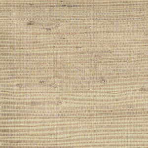 Kostya Beige Grasscloth Wallpaper by Advantage