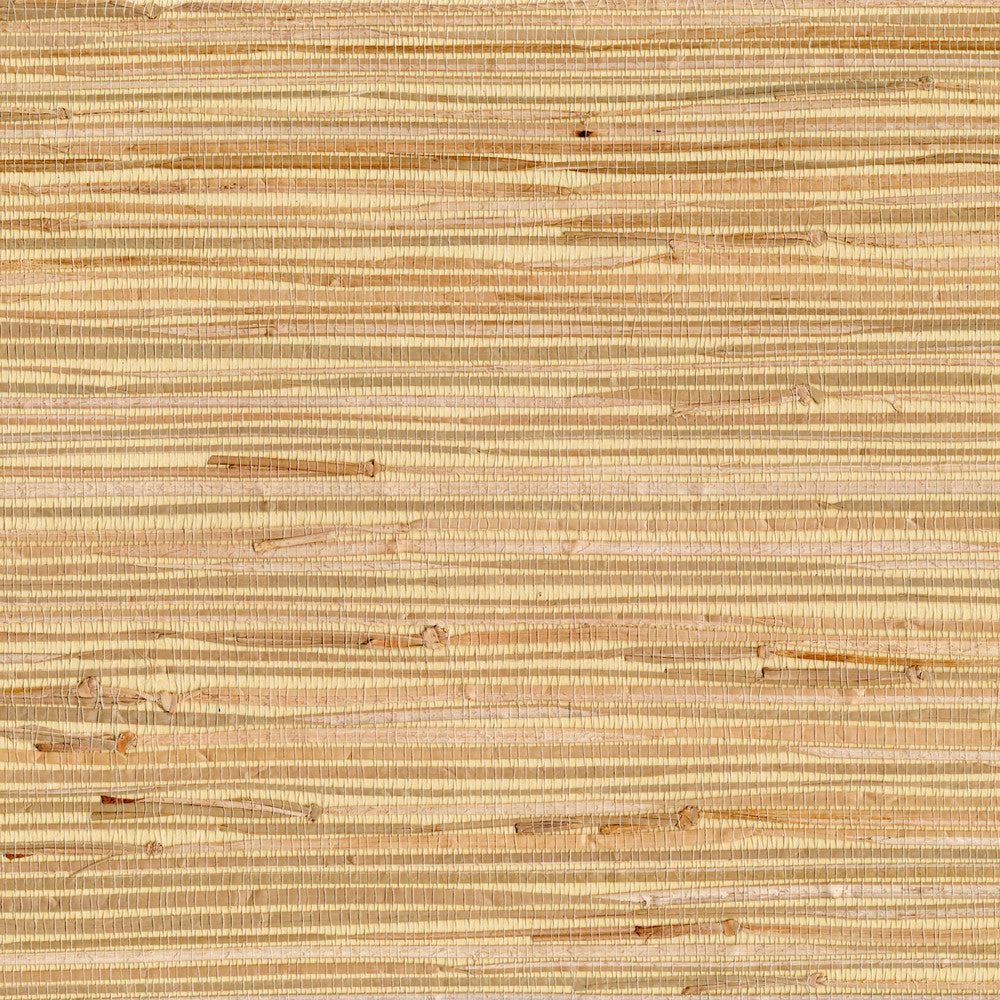 Altay Maize Grasscloth Wallpaper by Advantage Grasscloth Portfolio Covers about 72 square feet 36-in by 24-ft long roll Unpasted 0 - Fabric Carolina -