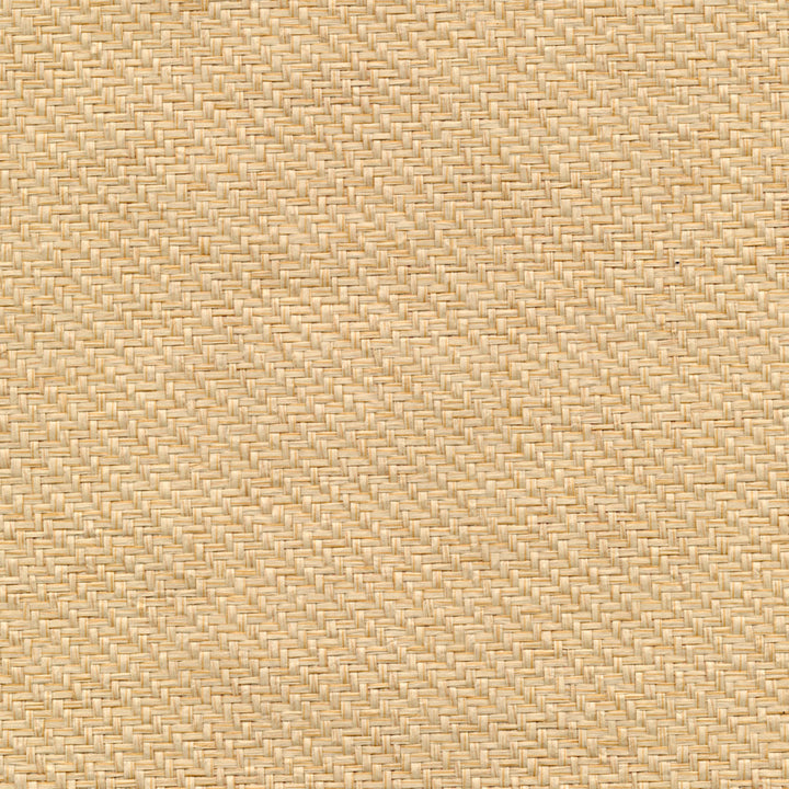 Tao Beige Grasscloth Wallpaper by Advantage Grasscloth Portfolio Covers about 72 square feet 36-in by 24-ft long roll Unpasted 0 - Fabric Carolina -