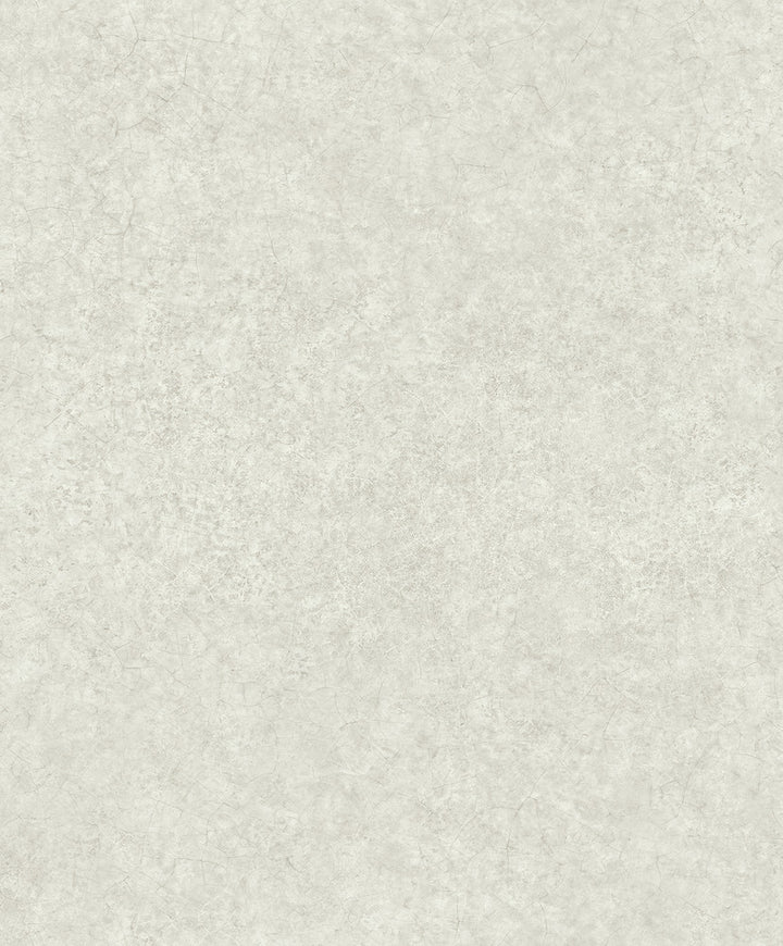 Clyde Taupe Quartz Wallpaper by Advantage Geo & Textures Covers about 57.5 square feet 20.9-in by 33-ft long roll Unpasted 12.5 - Fabric Carolina -