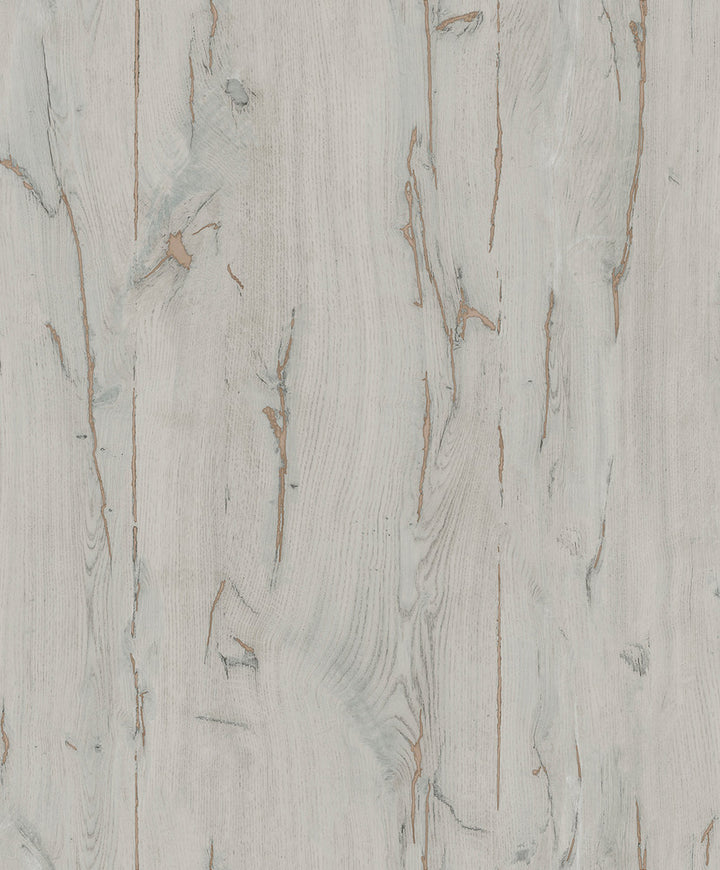 Jackson Taupe Wooden Plank Wallpaper by Advantage Geo & Textures Covers about 57.5 square feet 20.9-in by 33-ft long roll Unpasted 12.5 - Fabric Carolina -