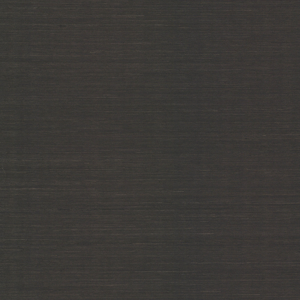Colcord Black Sisal Grasscloth Wallpaper by A-Street Prints Scott Living III Covers about 72 square feet 36-in by 24-ft long roll Unpasted 0 - Fabric Carolina -