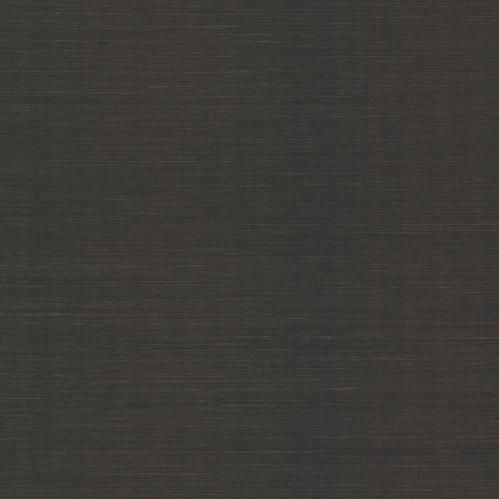 Colcord Black Sisal Grasscloth Wallpaper by A-Street Prints Scott Living III Covers about 72 square feet 36-in by 24-ft long roll Unpasted 0 - Fabric Carolina -