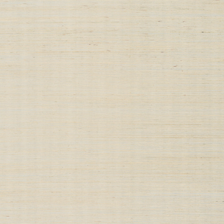 Colcord Cream Sisal Grasscloth Wallpaper by A-Street Prints Scott Living III Covers about 72 square feet 36-in by 24-ft long roll Unpasted 0 - Fabric Carolina -