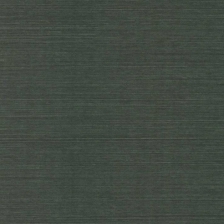 Colcord Dark Green Sisal Grasscloth Wallpaper by A-Street Prints Scott Living III Covers about 72 square feet 36-in by 24-ft long roll Unpasted 0 - Fabric Carolina -