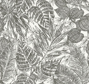 Brentwood Black Palm Leaves Wallpaper by A-Street Prints