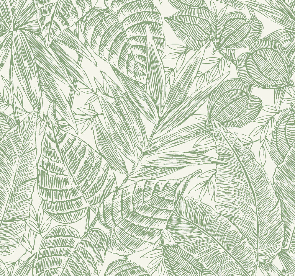 Brentwood Green Palm Leaves Wallpaper by A-Street Prints Scott Living III Covers about 60.8 square feet 27-in by 27-ft long roll Unpasted 25.25 - Fabric Carolina -