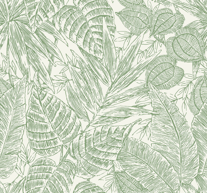 Brentwood Green Palm Leaves Wallpaper by A-Street Prints Scott Living III Covers about 60.8 square feet 27-in by 27-ft long roll Unpasted 25.25 - Fabric Carolina -