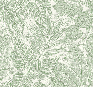 Brentwood Green Palm Leaves Wallpaper by A-Street Prints
