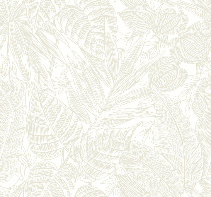 Brentwood Bone Palm Leaves Wallpaper by A-Street Prints Scott Living III Covers about 60.8 square feet 27-in by 27-ft long roll Unpasted 25.25 - Fabric Carolina -