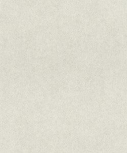 Etsu Grey Distressed Wallpaper by Advantage