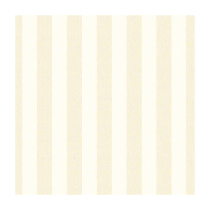 4037-1116 by Kravet Design Fabric LINEN - 74%;POLYESTER - 26% Turkey Horizontal: and Vertical: 4 116 - Fabric Carolina -