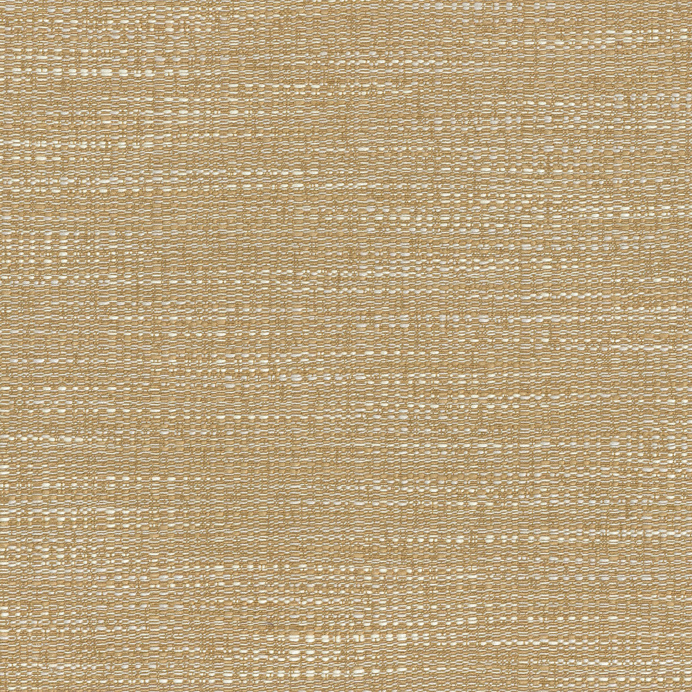 DAPPER BIRCH 403915 by PKL Studio Fabric - 100% Polyester 3 Pass back coating China 51000 Horizontal: 0 and Vertical: 0 55 - Fabric Carolina -