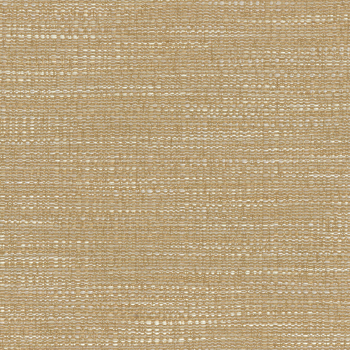 Dapper Birch 403915 by PKL Studio Fabric - 56%Rayon 44%Polyester China 51000 Horizontal: 0 and Vertical: 0 55 - Fabric Carolina -