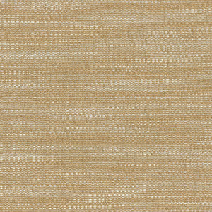 DAPPER BIRCH 403915 by PKL Studio Fabric