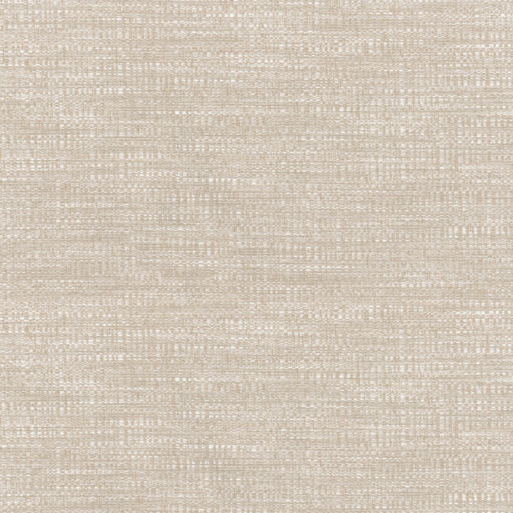 Dapper Linen Nc 403927 by PKL Studio Fabric PKL STUDIO DEC 13 56% Rayon 44% Polyester CHINA Wyzenbeek 51,000 Horizontal: 0.00" and Vertical: 0.00" 55" - Fabric Carolina -