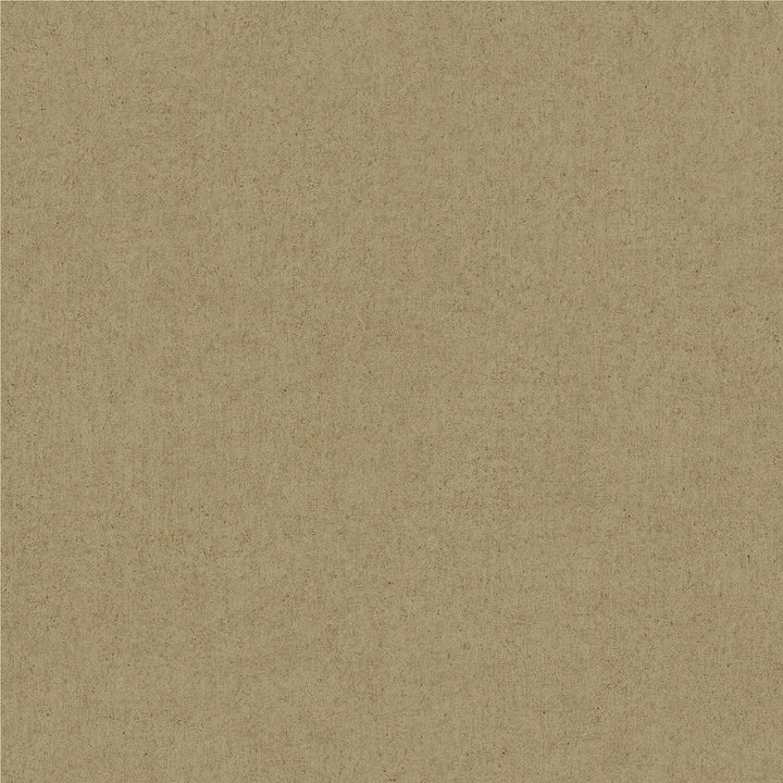 Colter Light Brown Texture Wallpaper by Advantage Passport Covers about 57.5 square feet 20.9-in by 33-ft long roll Unpasted 0 - Fabric Carolina -