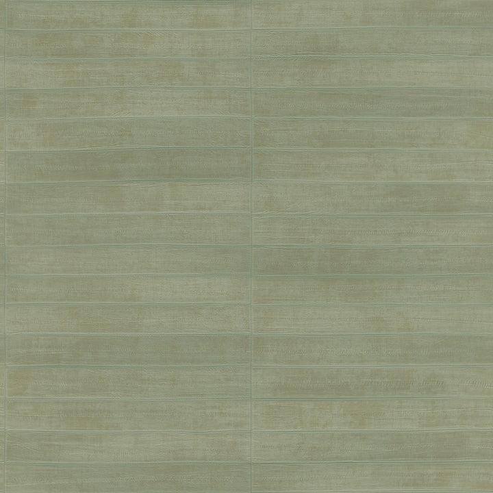 Dermot Light Green Horizontal Stripe Wallpaper by Advantage Passport Covers about 57.5 square feet 20.9-in by 33-ft long roll Unpasted 10.4 - Fabric Carolina -