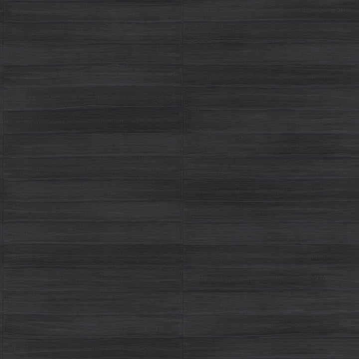 Dermot Black Horizontal Stripe Wallpaper by Advantage Passport Covers about 57.5 square feet 20.9-in by 33-ft long roll Unpasted 20.9 - Fabric Carolina -
