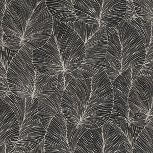 Eilian Black Palm Wallpaper by Advantage