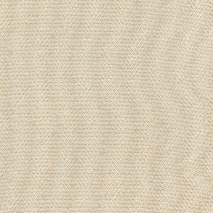 Basketry Dune 404104 by PKL Studio Fabric - 100%Polyester China 51000 Horizontal: 2.25 and Vertical: 1.5 56 - Fabric Carolina -