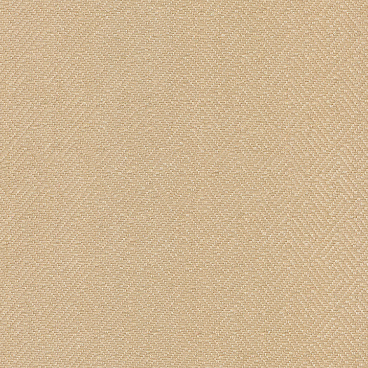 Basketry Khaki 404105 by PKL Studio Fabric - 100% Polyester China 51000 Horizontal: 2.25 and Vertical: 1.5 56 - Fabric Carolina -
