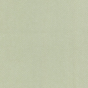 Basketry Celery 404118 by PKL Studio Fabric
