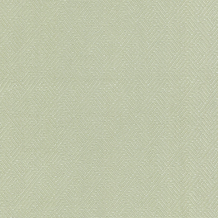Basketry Celery 404118 by PKL Studio Fabric - 100%Polyester China 51000 Horizontal: 2.25 and Vertical: 1.5 56 - Fabric Carolina -