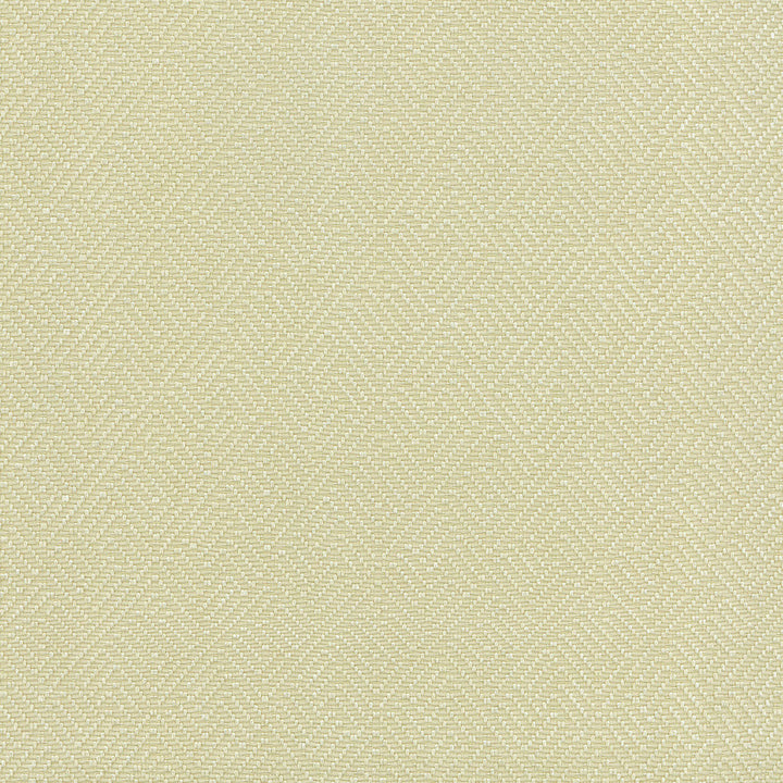 Basketry Lemongrass 404119 by PKL Studio Fabric - 100%Polyester China 51000 Horizontal: 2.25 and Vertical: 1.5 56 - Fabric Carolina -