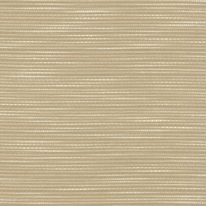 Shimmy Driftwood 404135 by PKL Studio Fabric - 100% Polyester 18000 Horizontal: 0 and Vertical: 0 56 - Fabric Carolina -