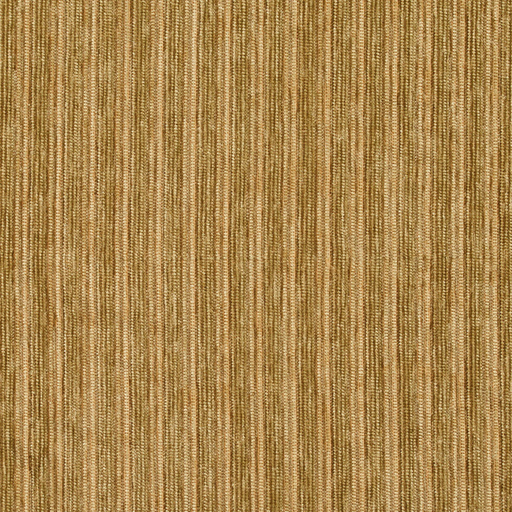 4041 Meadow by Charlotte Fabric Ring Book Page #23 100% Woven Polyester Asia Exceeds 150,000 Wyzenbeek Rubs (Heavy Duty) </p><p>Repeat: No Repeat 54 Inches - Fabric Carolina -