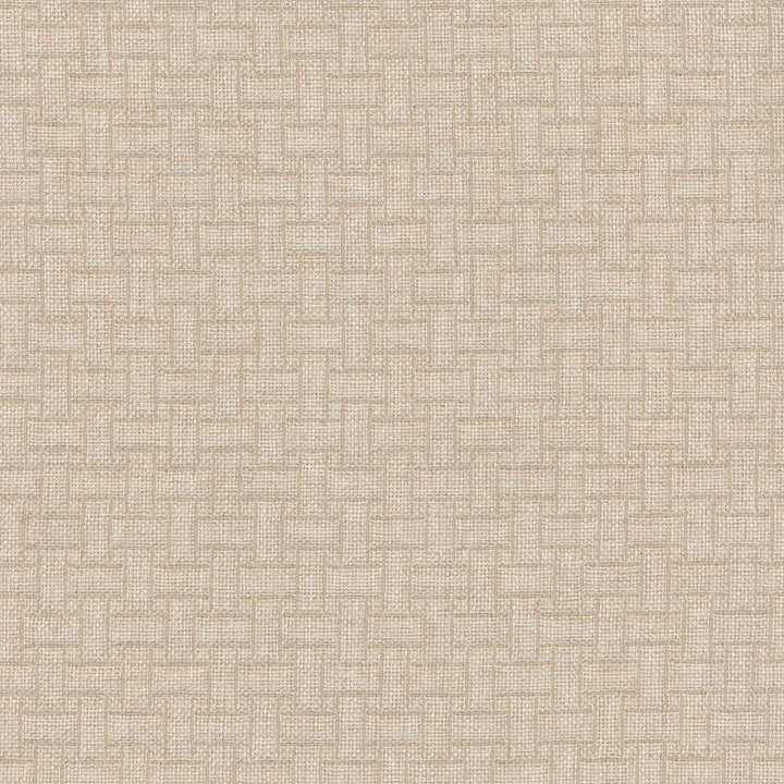 Line By Line Sahara 404250 by PKL Studio Fabric - 80% Polyester 20% Polypropylene CHINA 51000 Horizontal: 1.125 and Vertical: 1.125 57 - Fabric Carolina -