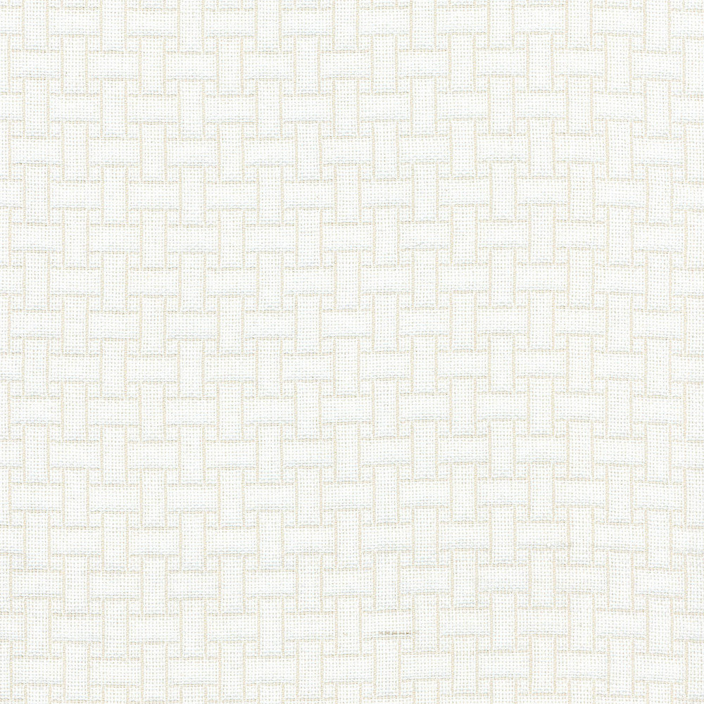 Line By Line Sugarcane 404251 by PKL Studio Fabric - 55% LINEN 45% RAYON 51000 Horizontal: 1.13 and Vertical: 1.13 57 - Fabric Carolina -