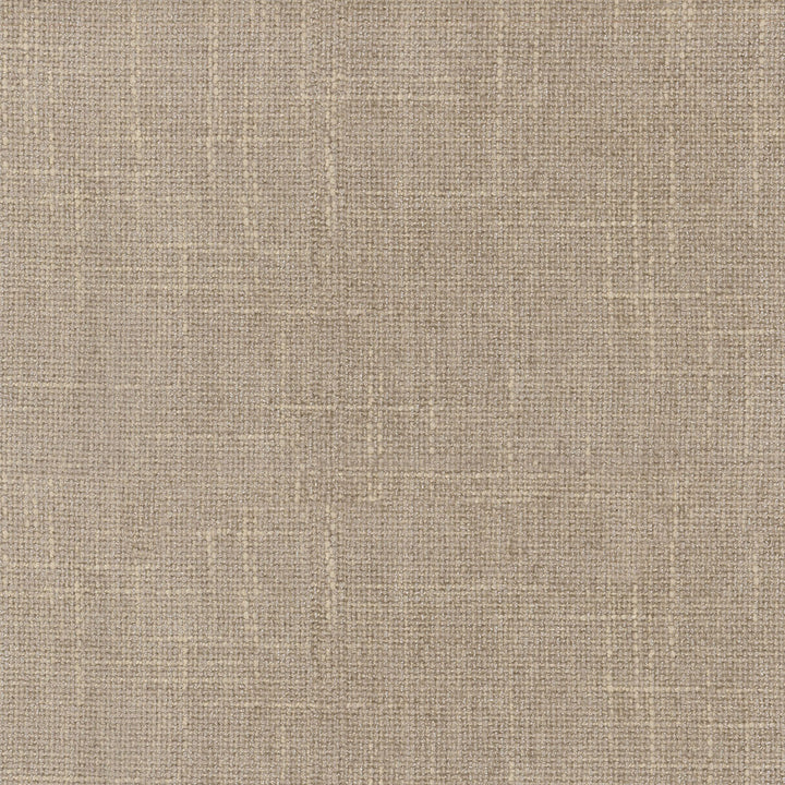 Mixology Driftwood 404397 by PKL Studio Fabric - 80%Polyester 20%Rayon China 51000 Horizontal: 0 and Vertical: 0 56 - Fabric Carolina -