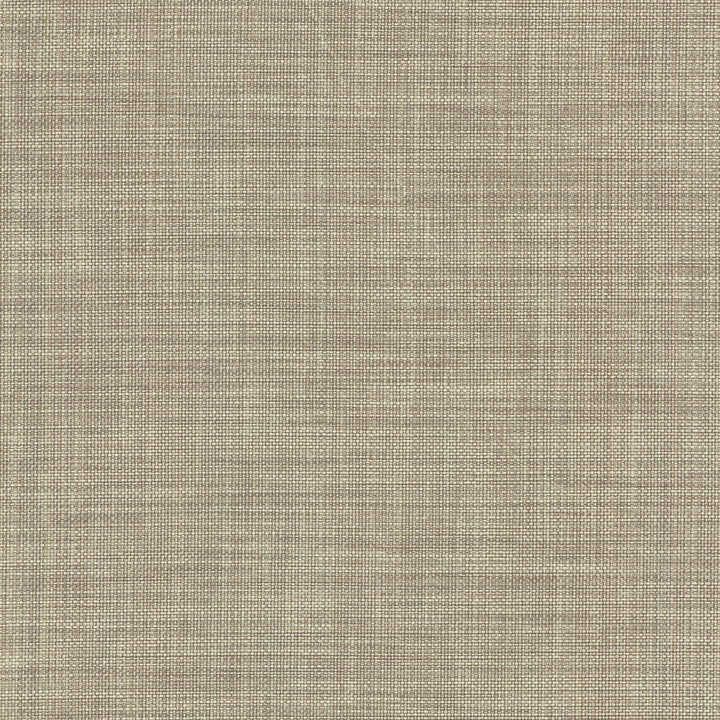 FLASHBACK MICA 404417 by PKL Studio Fabric - 100% COTTON India 51000 Horizontal: N/A and Vertical: N/A 54 - Fabric Carolina -